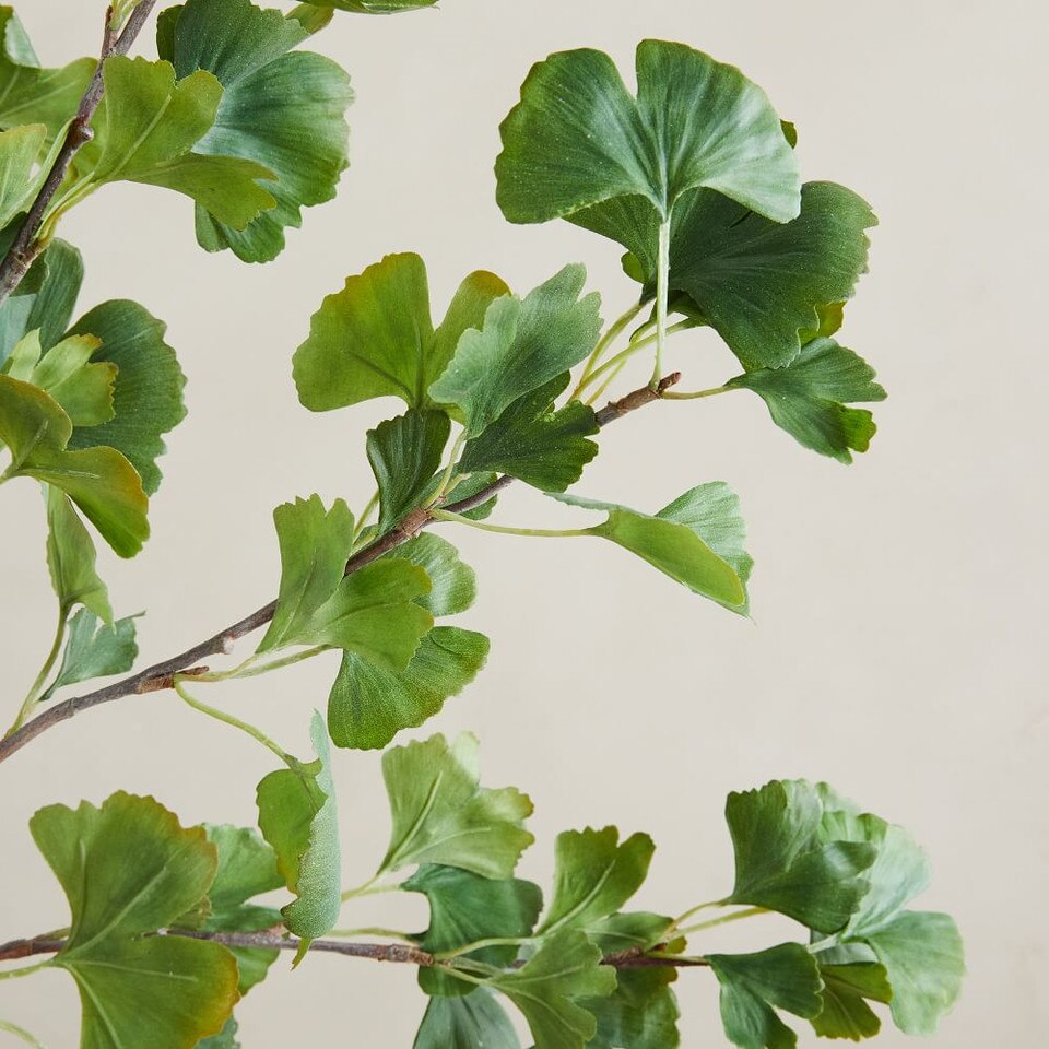 Faux Gingko Branch Green west elm United Kingdom